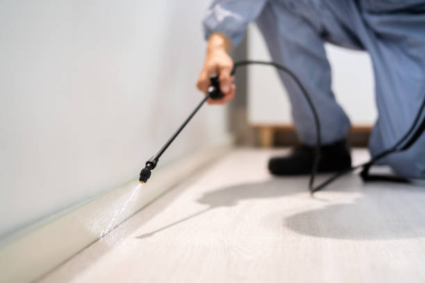 Licensed Fumigation Services service in Kane County County, UT - Nex Pest Control